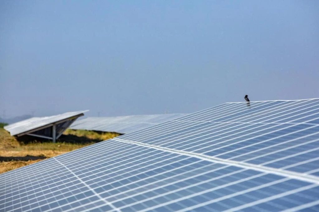 Qatar’s first large-scale solar plant by TotalEnergies consortium signals new energy era The Al Kharsaah Solar plant’s inauguration in October 2022 marked a critical moment in Qatar’s shift toward renewables