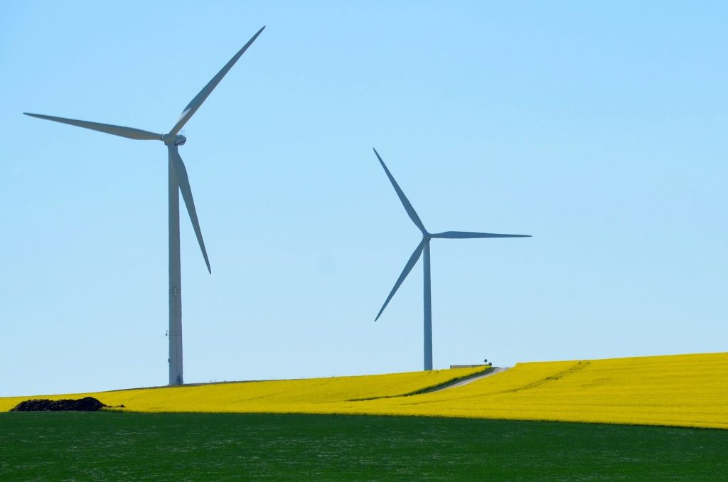 Global renewable energy to rise with 5,500 GW of new capacity by 2030 – IEA IEA says that the world will add more than 5 500 gigawatts (GW) of new renewable energy capacity between 2024 and 2030
